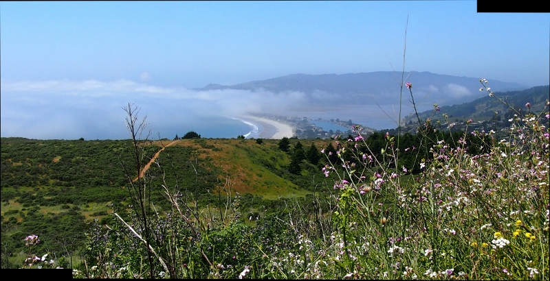 Tamalpais(800x410).jpg