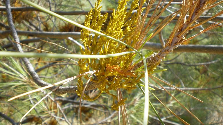 PA090747.JPG