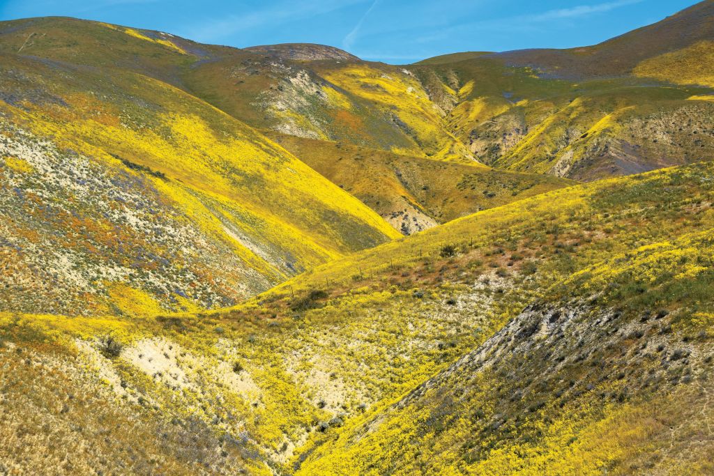 Carrizo Plain NM_176_1s.jpg