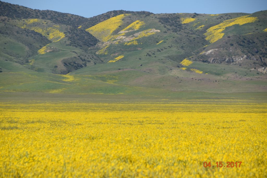 Carrizo Plain NM_116s.jpg