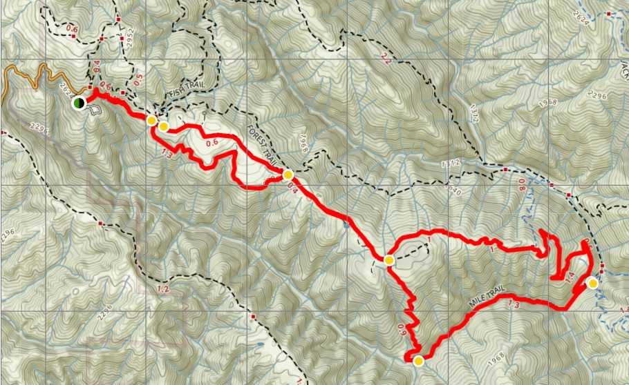 Henry Coe - China Hoe Loop Trail.jpg