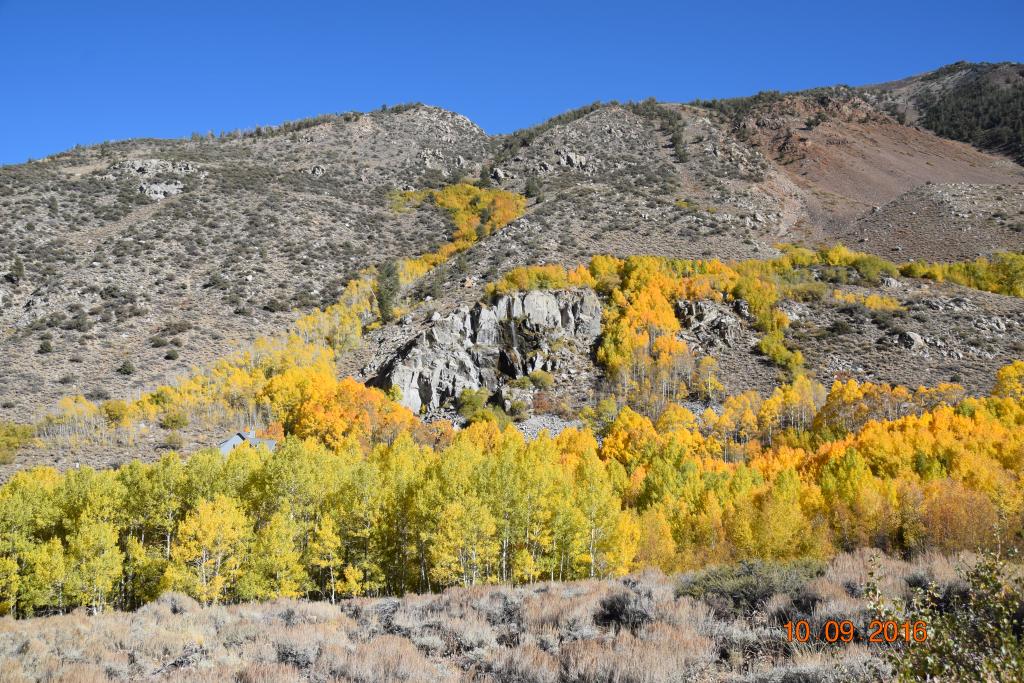 Convict Lake_112.jpg