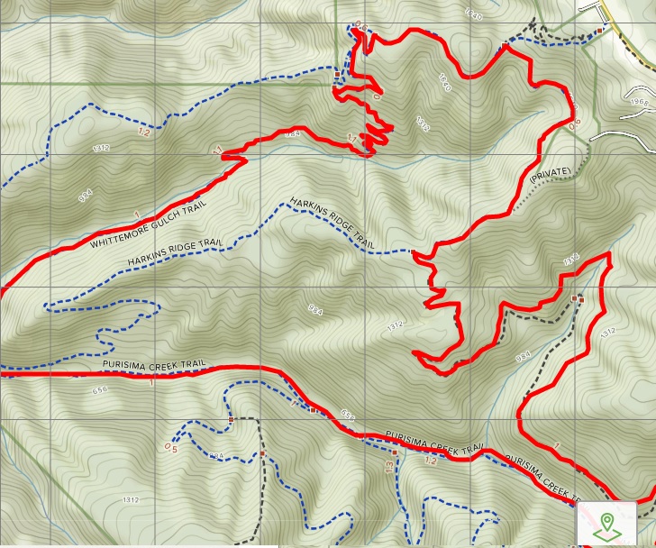 Purisima Creek South Trail 2.jpg