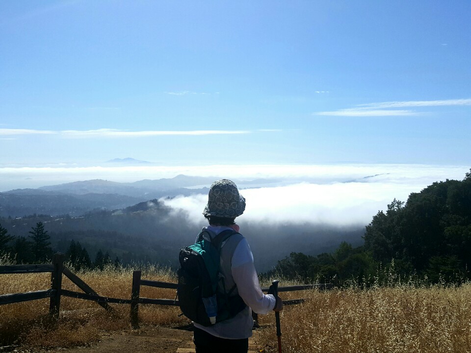 mt tam 3.jpg