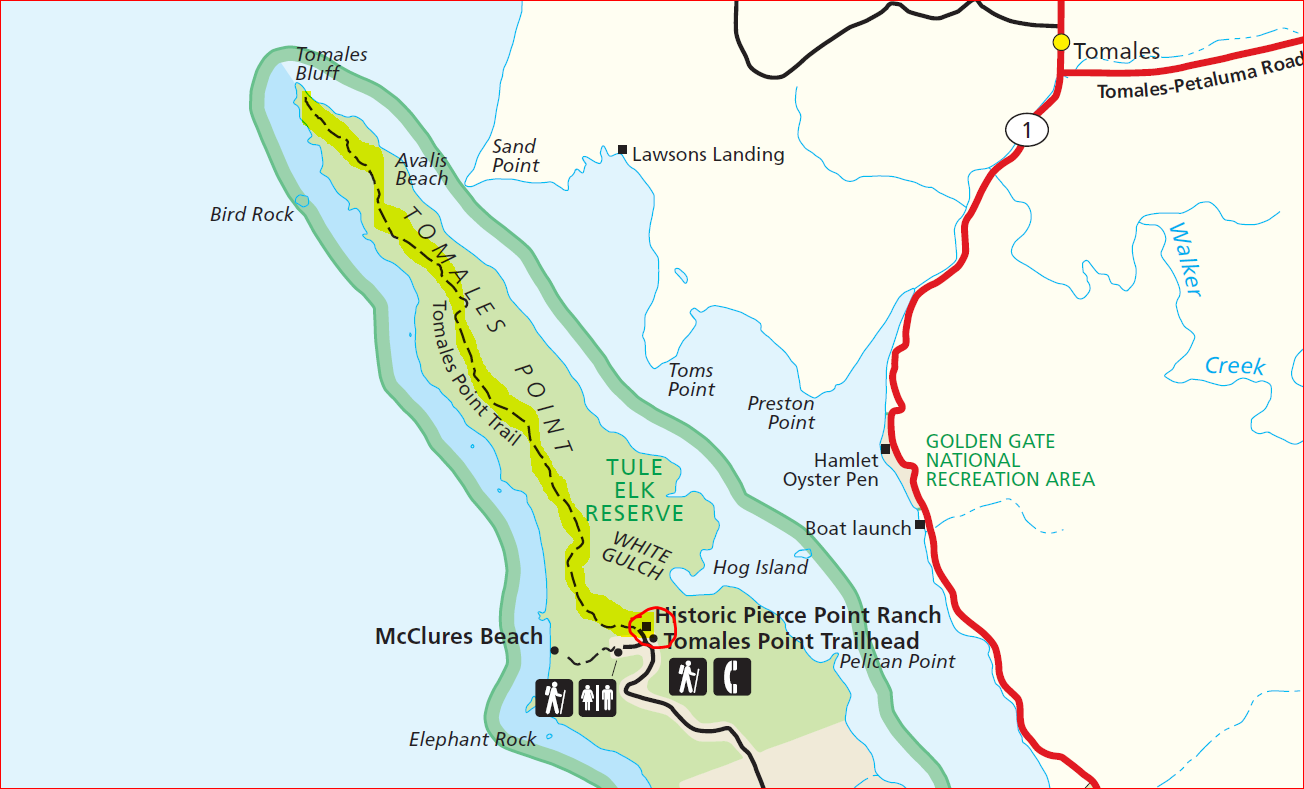 Tomales%20Point%20Trail-1.png