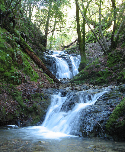 Uvas Canyon waterfall 2.jpg