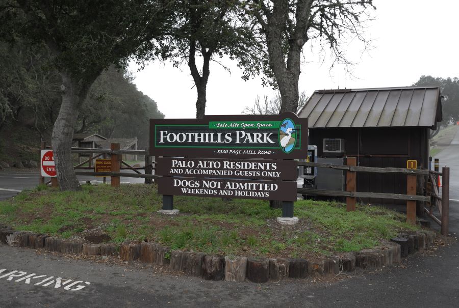Foothills-Park.jpg