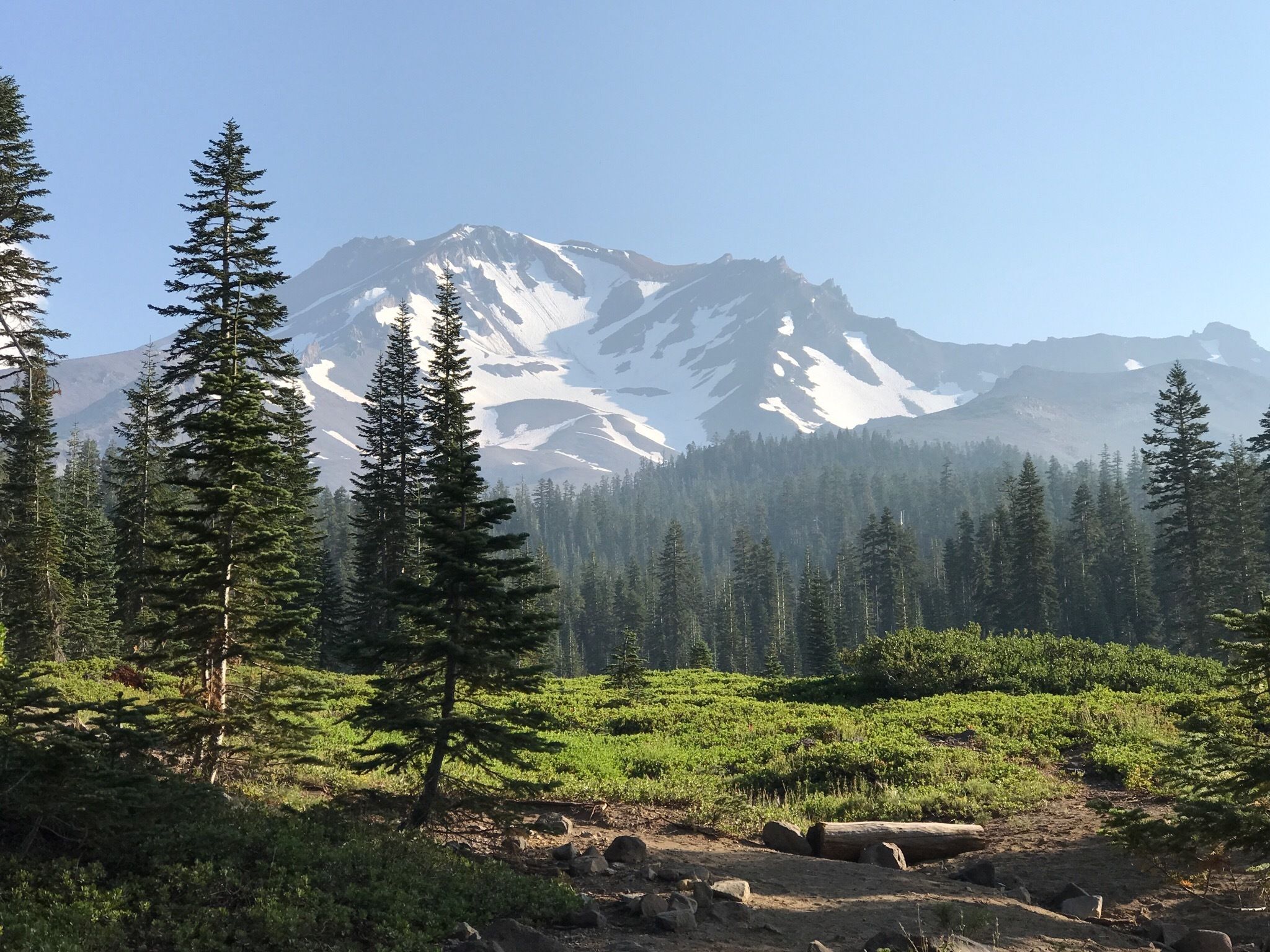 mount shasta 02.png