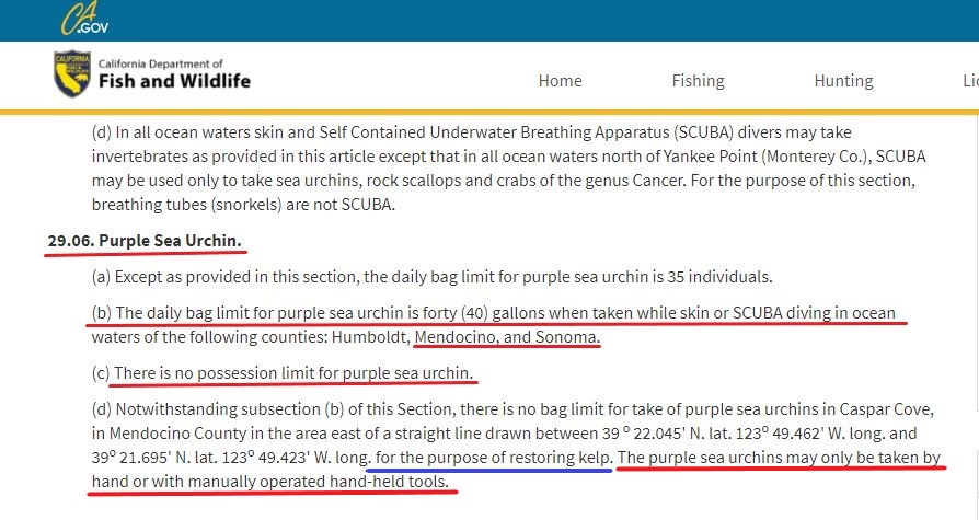 Sea Urchin Regularation by CA willd- Revised.jpg