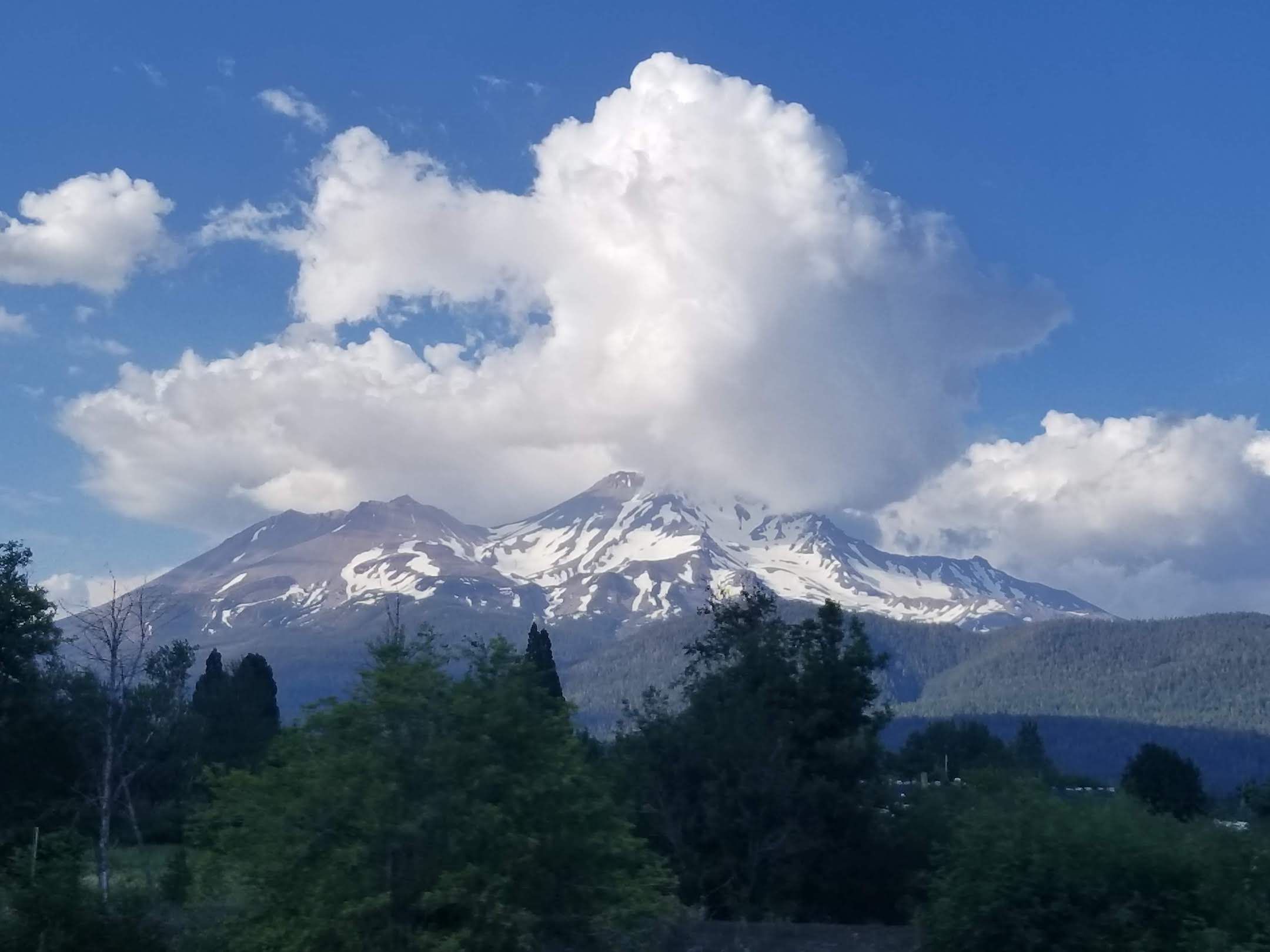 shasta2.jpeg