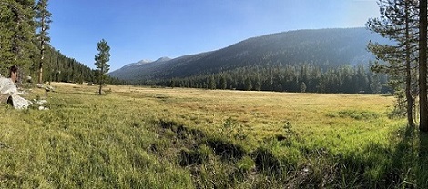 IMG_7473_Tuolumne Meadows.JPG