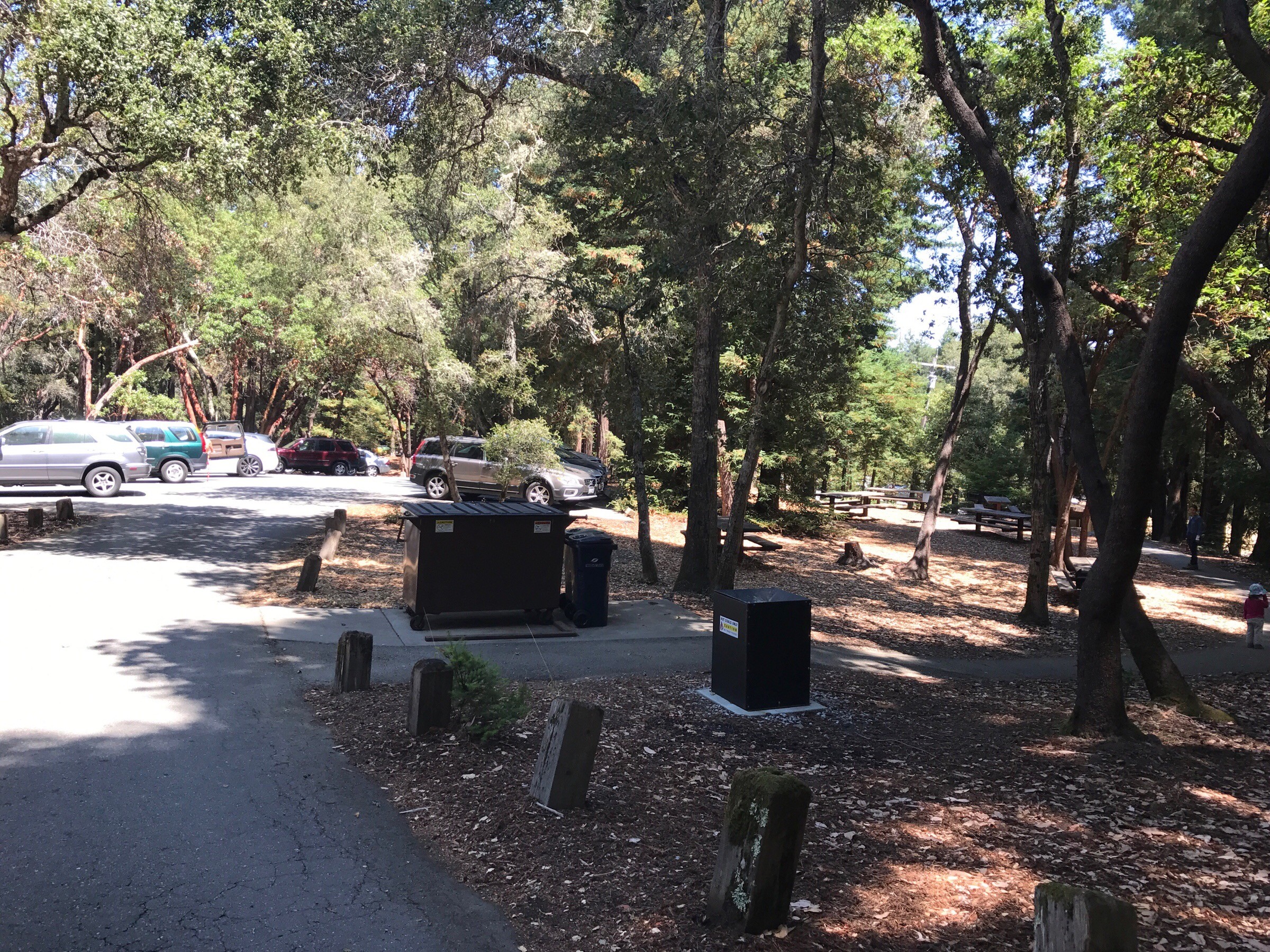 Werder Picnic Area.jpg