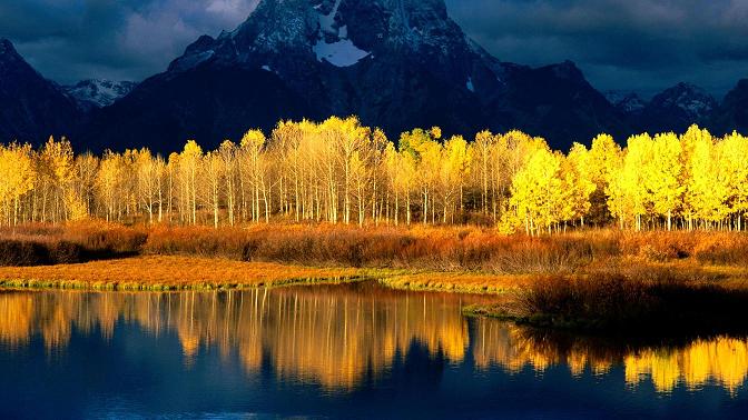 Quaking Aspen_Grandetons_Wyoming_2.jpg