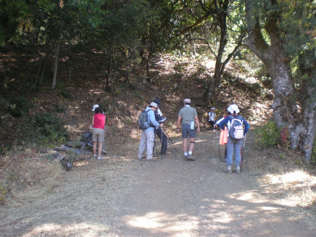 Picture 051.jpg