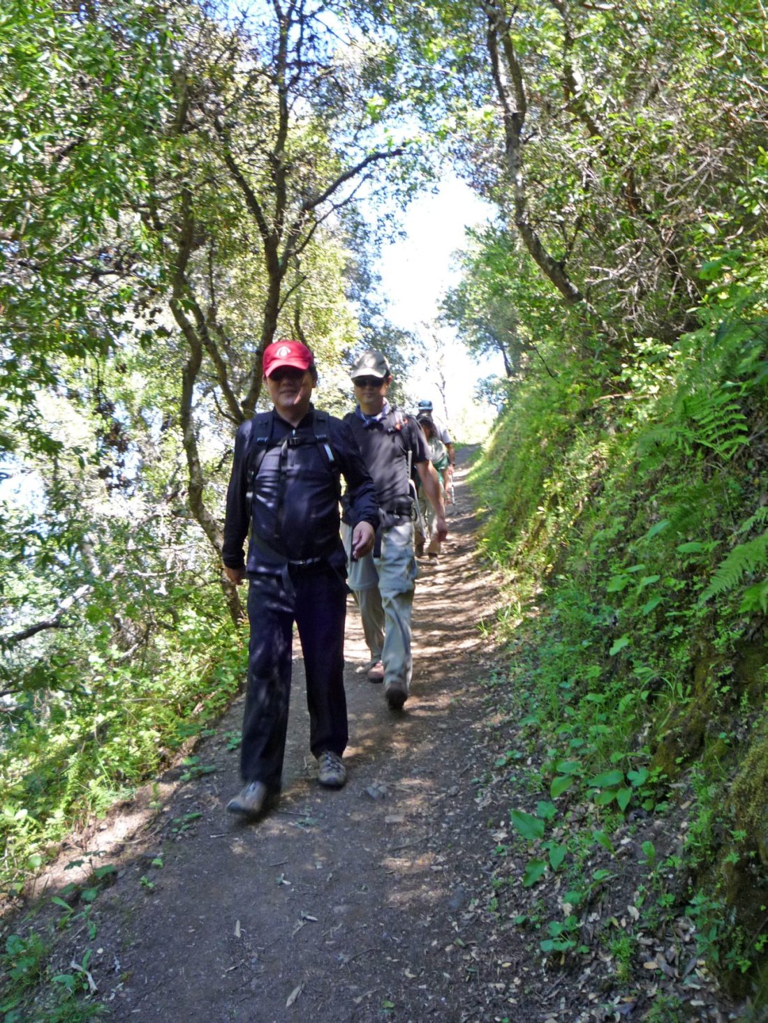 2009.04.18.BlackMt (14).JPG