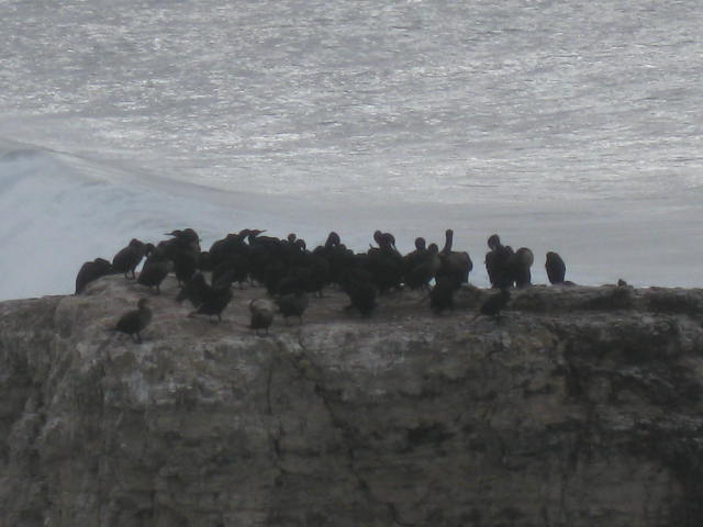 11-28-09 768.JPG