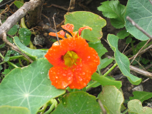 11-28-09 770.JPG