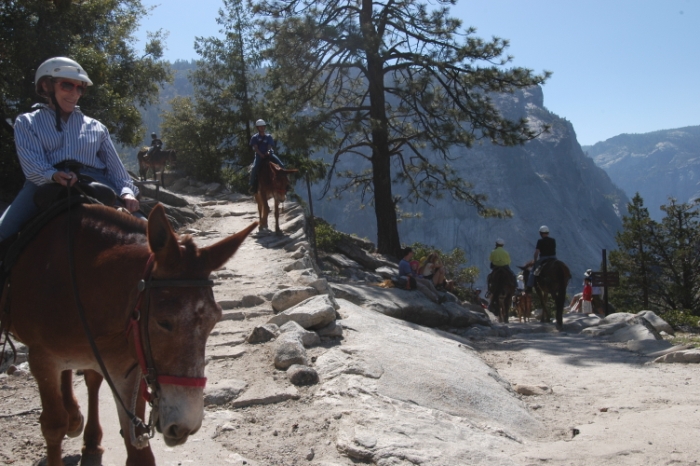 Yosemite 5-24-09 N100 713.JPG