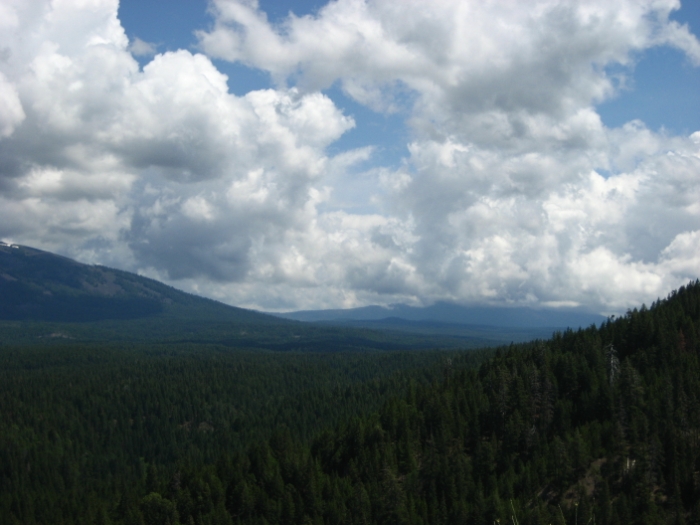 mt. Shasta 420.JPG