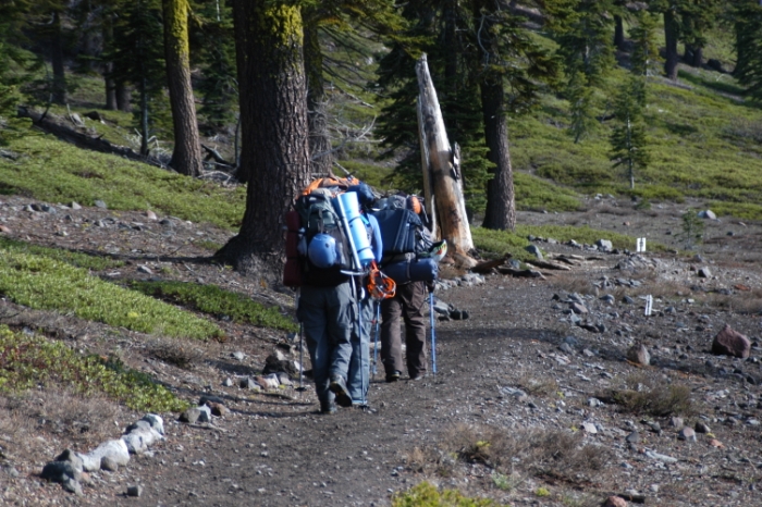 Mt. Shasta 120.JPG