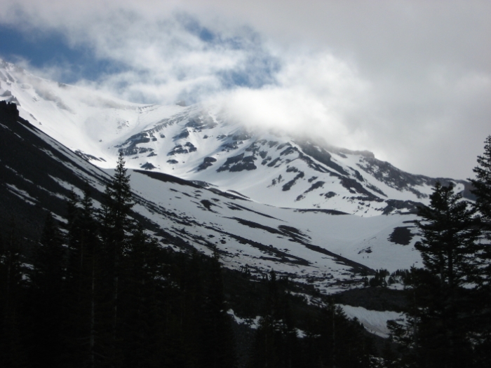 mt. Shasta 469.JPG