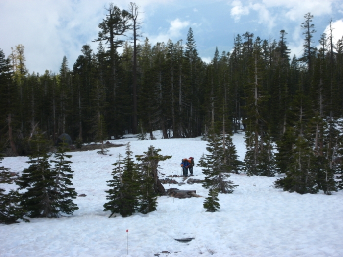 mt. Shasta 470.JPG