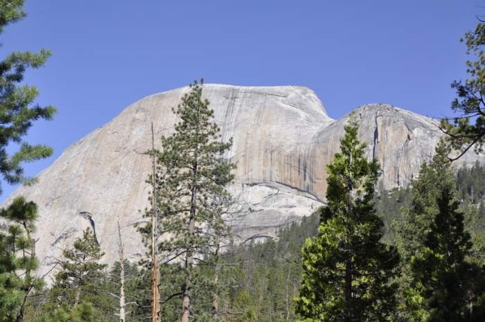 yosemite 172.JPG