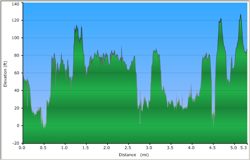 Lobos Elevation.png