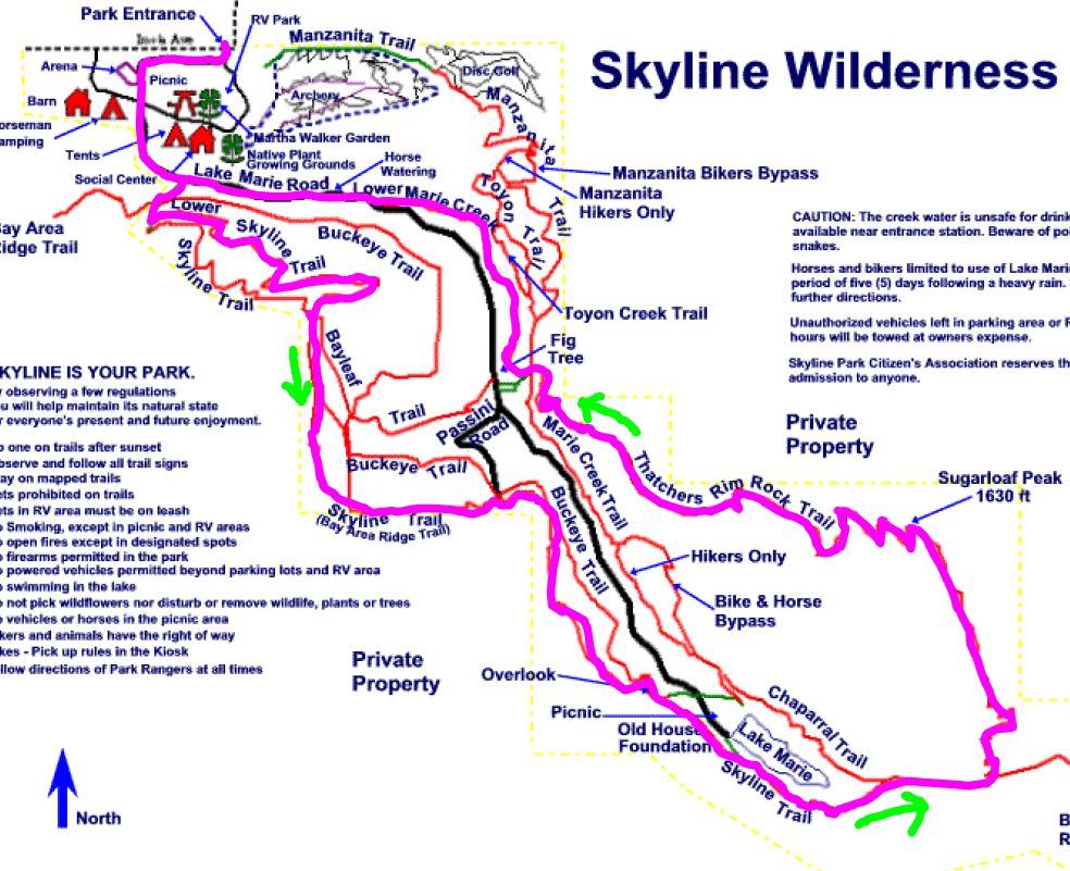 Napa_skyline_wilderness_trail.jpg