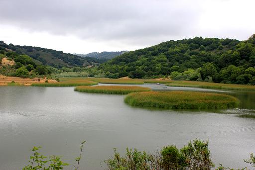 Lake Chabot.jpg