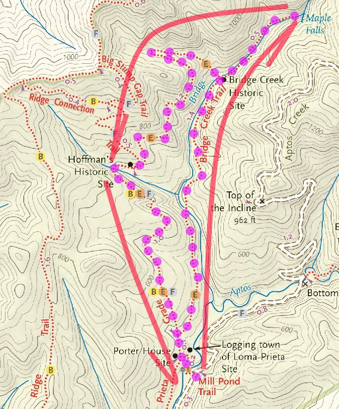 NiseneMarks.HikePortion2.jpg