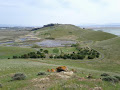 Coyote Hills Regional Park 2.jpg