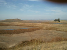 Coyote Hills Regional Park.jpg