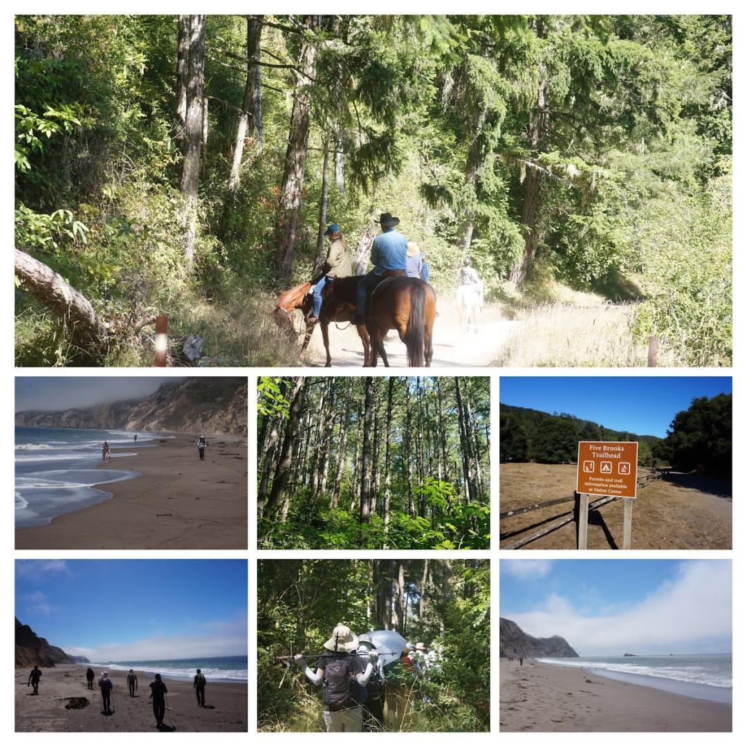 DSC05008-COLLAGE.jpg