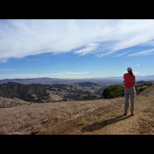 Las Trampas Regional Wilderness-2.jpg