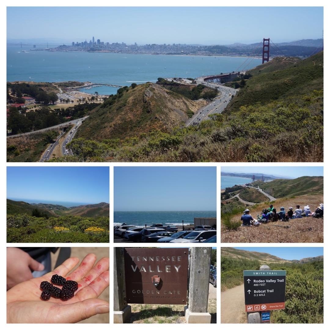 DSC04214-COLLAGE.jpg