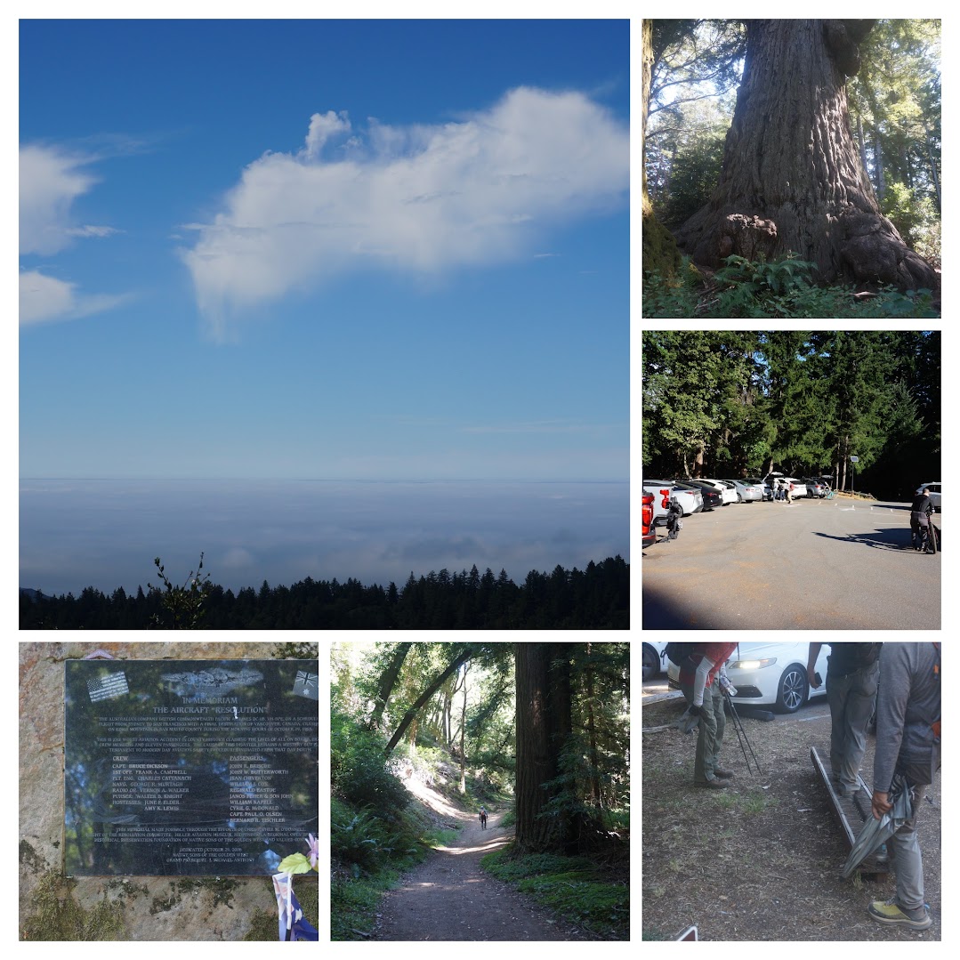 DSC05159-COLLAGE.jpg