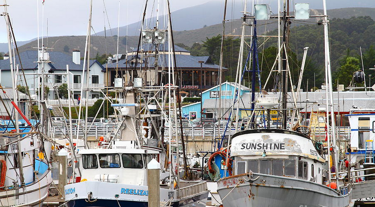 Half Moon Bay Fish boats.PNG