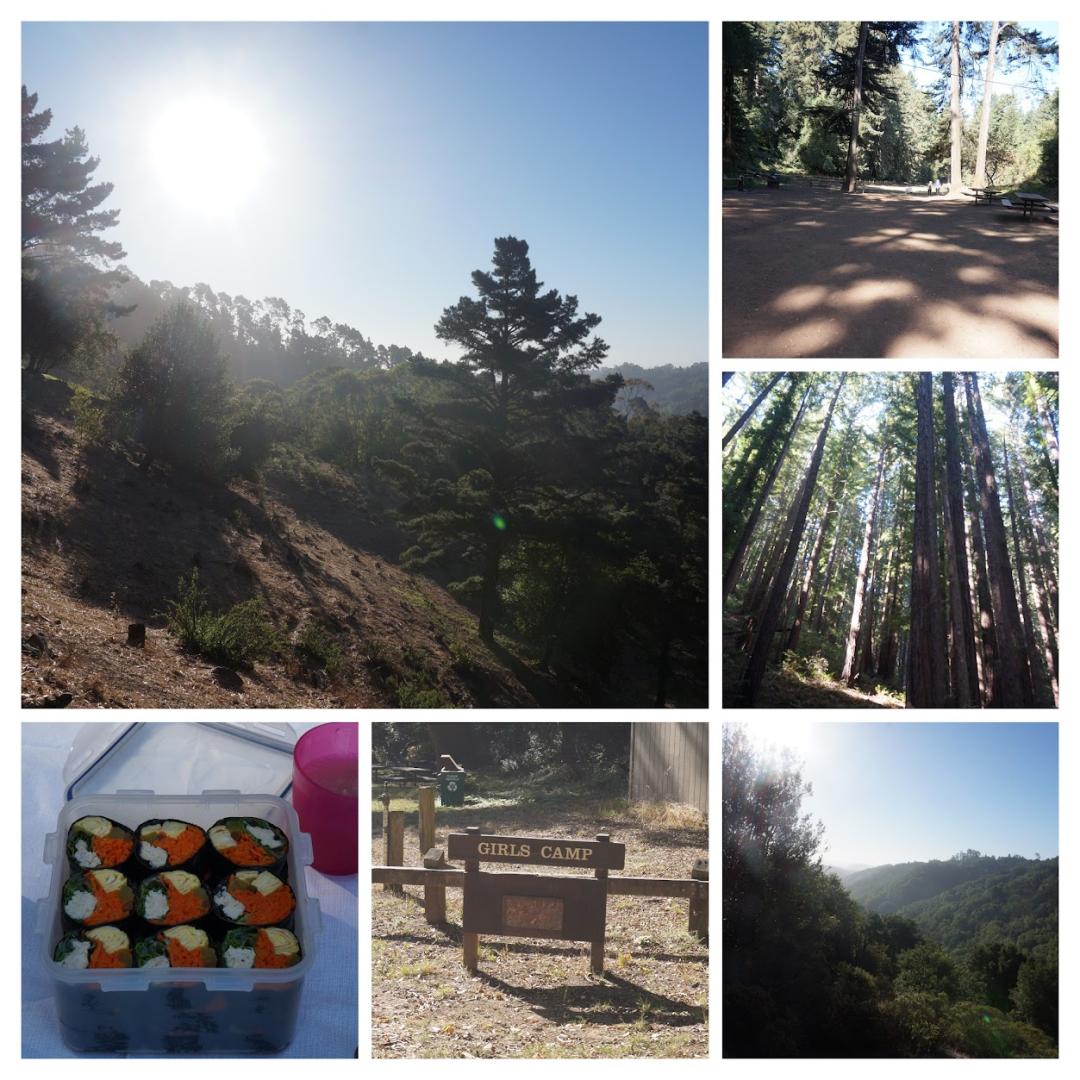 DSC05764-COLLAGE.jpg